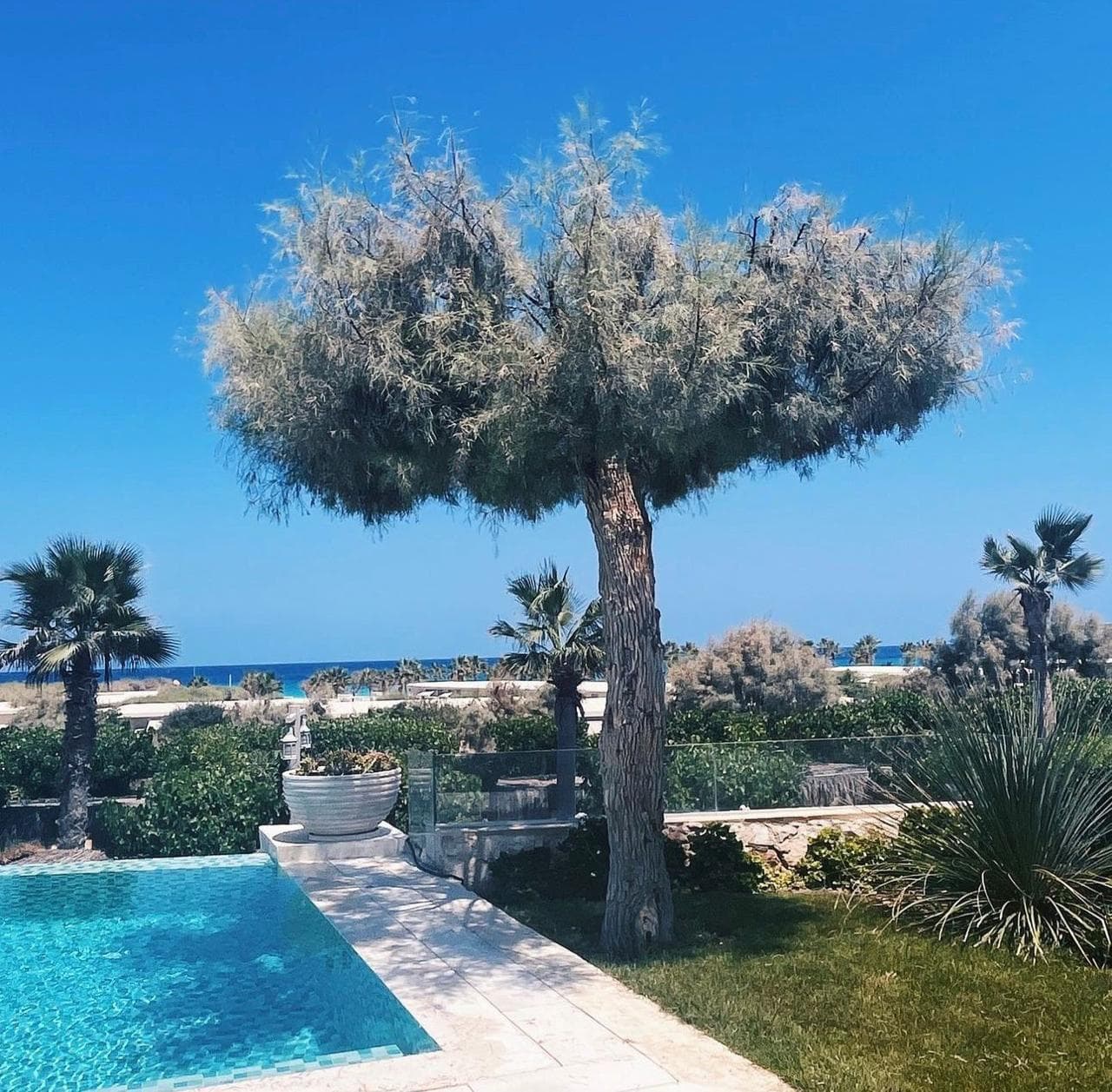 Resort